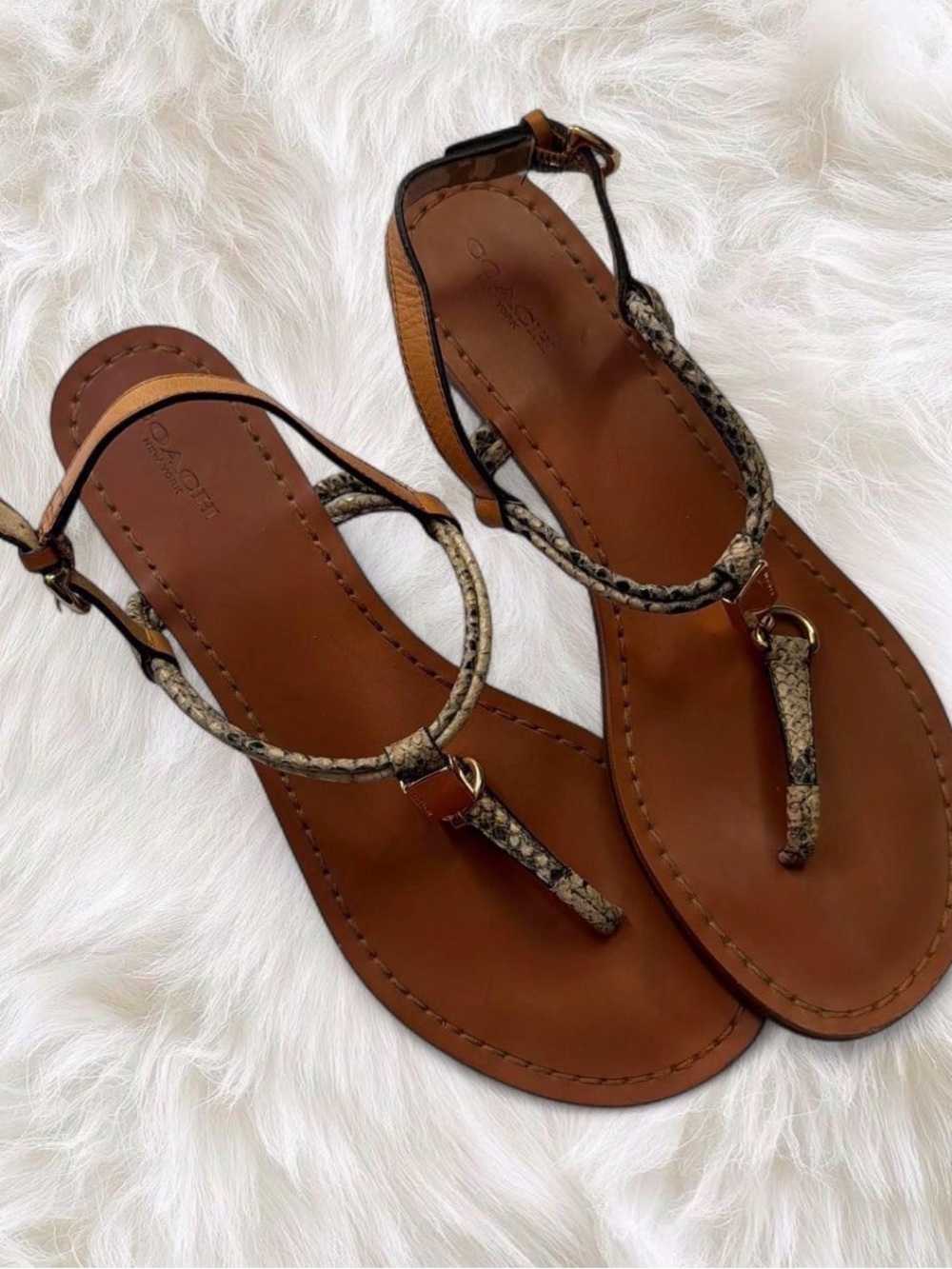 Coach Women's Brown Snakeskin Leather T-Strap Sandals